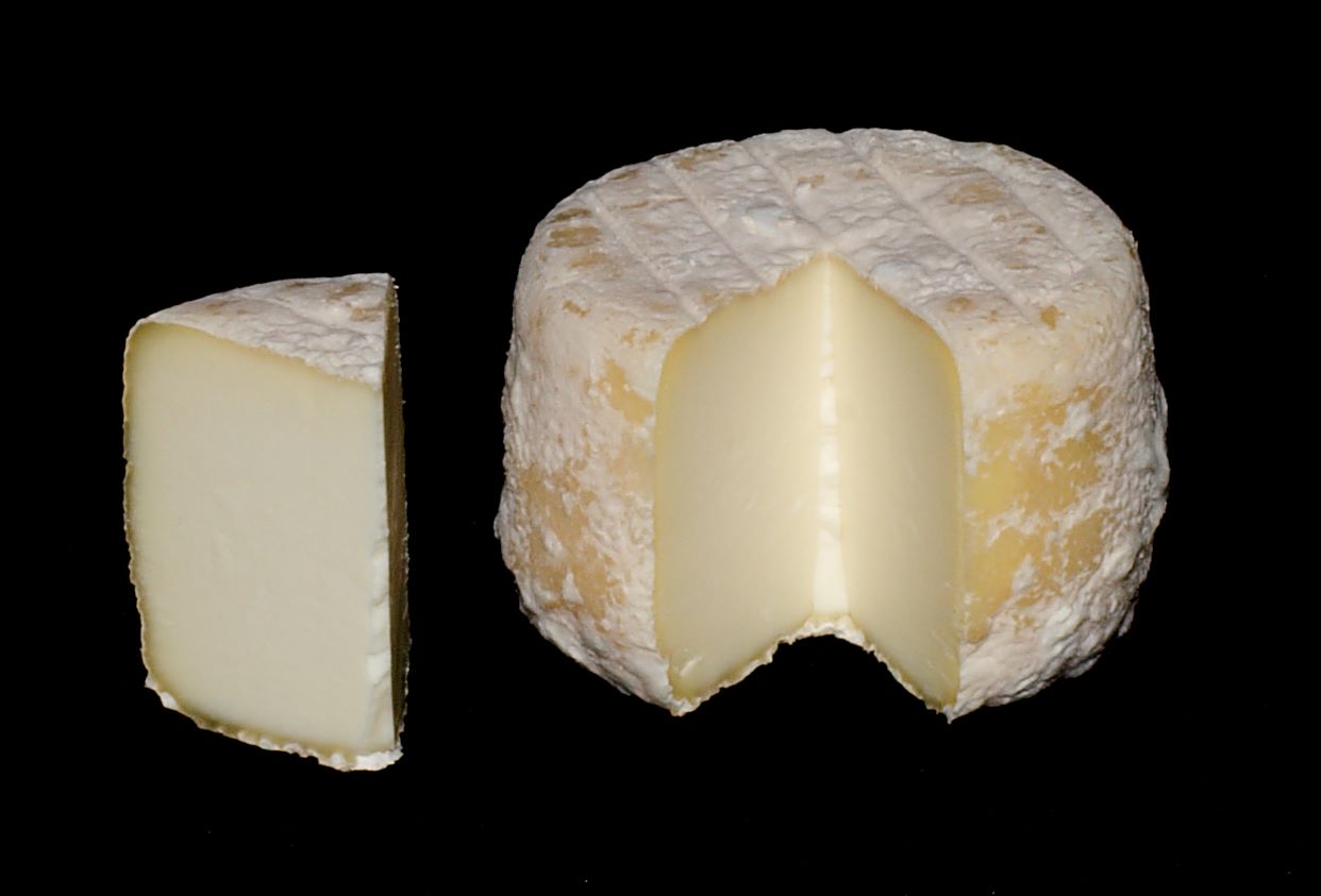 Crottin de Chavignol : Fromage AOP Crottin de Chavignol, photo petit fromage de chèvre